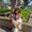 Photo of Caren F.