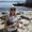 Photo of Amanda M.