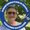 Photo of Carol A.