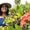 Photo of Keerthana R.
