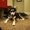 Photo of Bing C.
