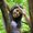 Photo of Ashwini A.