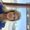 Photo of Melissa S.