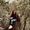 Photo of Kaylee H.