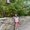 Photo of Xingying Z.