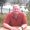 Photo of Mike S.