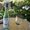 Photo of Wine O.