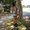 Photo of Sherrelle N.