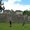 Photo of Nicole E.