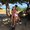 Photo of Karyn F.