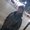 Photo of Sarath V.