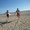 Photo of Tomer K.