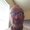 Photo of James S.