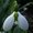 Photo of Qype User (BigChr…)