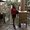 Photo of Yolanda P.