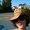 Photo of helaine s.