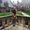 Photo of Ashley S.