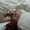 Photo of Saruh L.