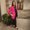 Photo of Sarahy A.