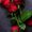 Photo of Rose J.
