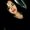 Photo of Claribel R.