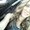 Photo of Brooke E.