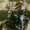 Photo of Jose S.