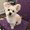 Photo of Linh L.