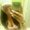 Photo of Jasmin W.