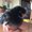 Photo of Chelle K.