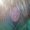 Photo of Sean M.