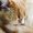 Photo of Loreen H.