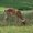 Photo of Qype User (Nering…)