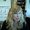 Photo of Heather B.