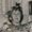 Photo of Melody P.