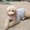 Photo of Star T.