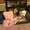 Photo of Shana L.