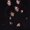 Photo of Dennis M.