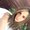 Photo of Andrea M.