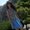 Photo of Menna K.