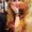 Photo of Alexzandria G.