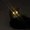 Photo of Neighsayer P.