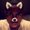 Photo of Davon B.