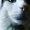 Photo of Hettie B.