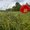 Photo of Qype User (mark_b…)