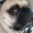 Photo of Angelica A.