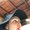 Photo of Arla M.