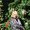 Photo of Allison N.