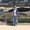 Photo of Hiba A.
