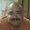 Photo of Randall L.